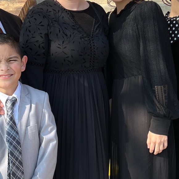 Beautiful Pleated Maxi Dress - Picture 5 of 5